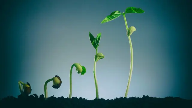 beneficios de no conformarse beneficios de no conformarse