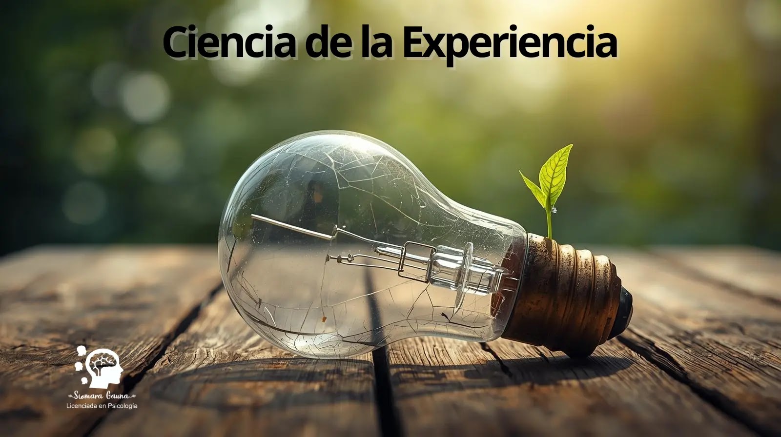Una lámpara rota, simbolizando el fracaso de una idea y un brote saliendo de ella.