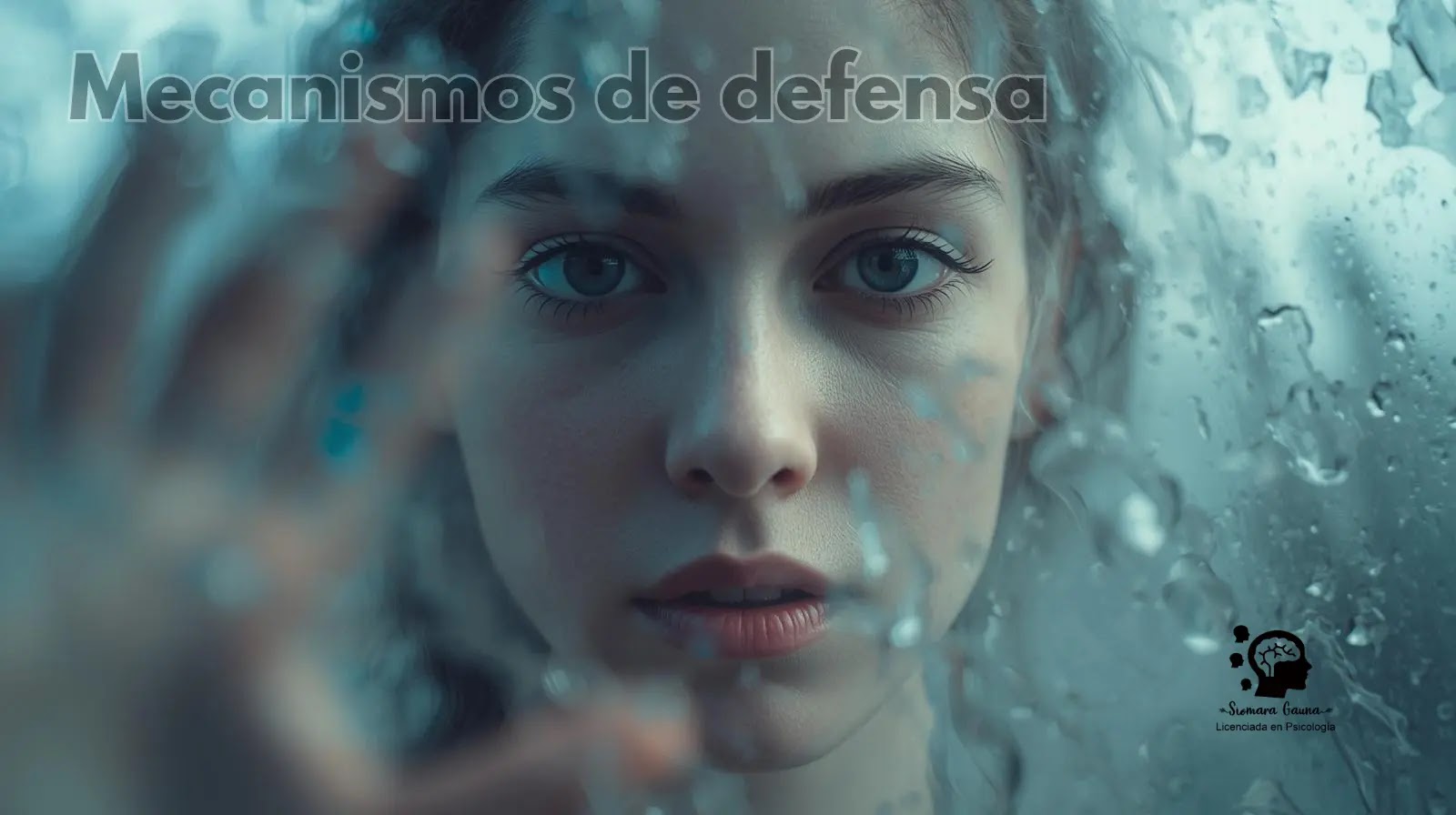 La Barrera Translúcida Visualiza sutilmente el concepto de los "mecanismos de defensa" como una barrera que distorsiona la realidad, pero que no es impenetrable.