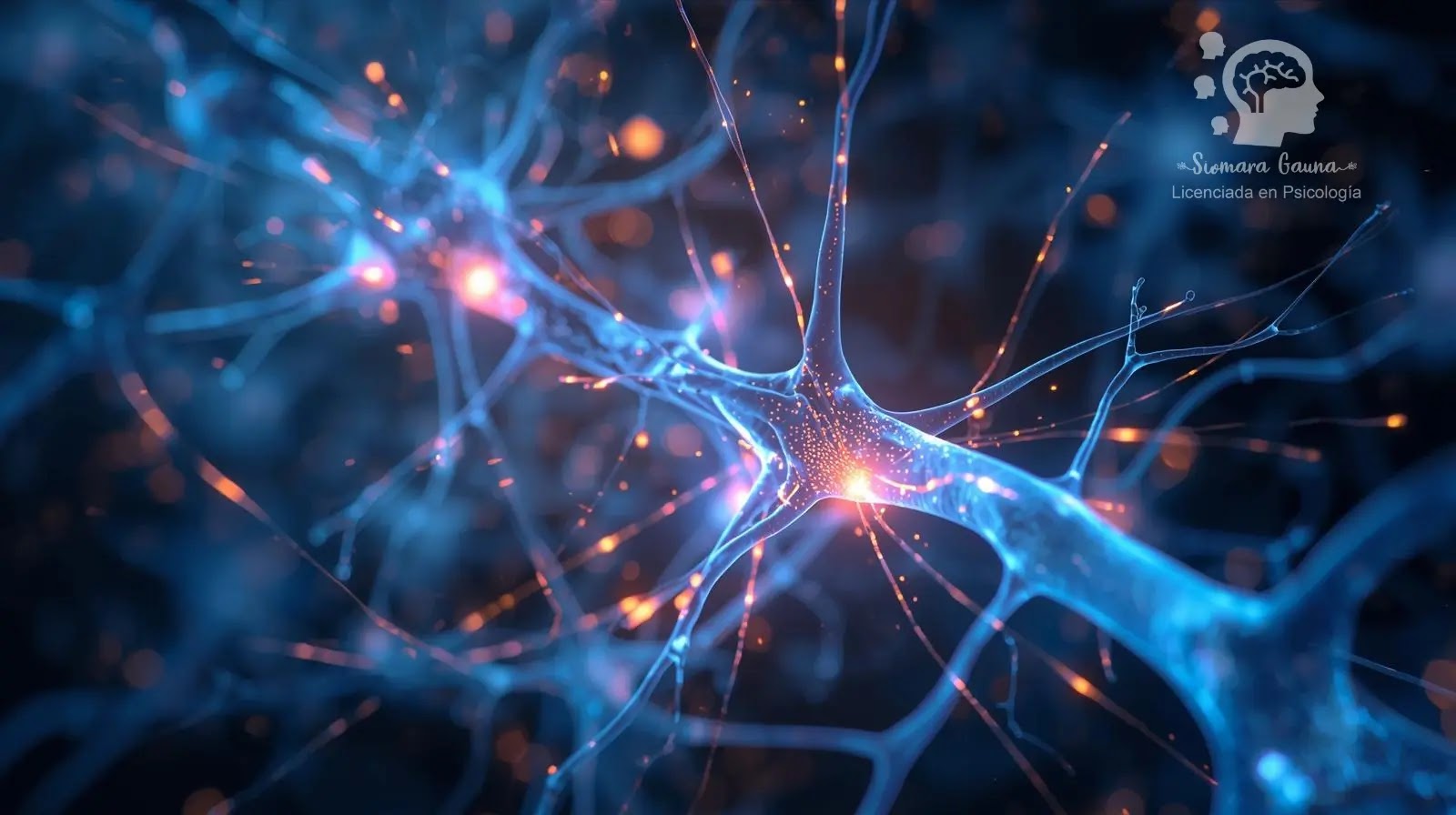 Neuroplasticidad adulta Conexiones neuronales iluminándose, simbolizando la neuroplasticidad en la edad adulta.