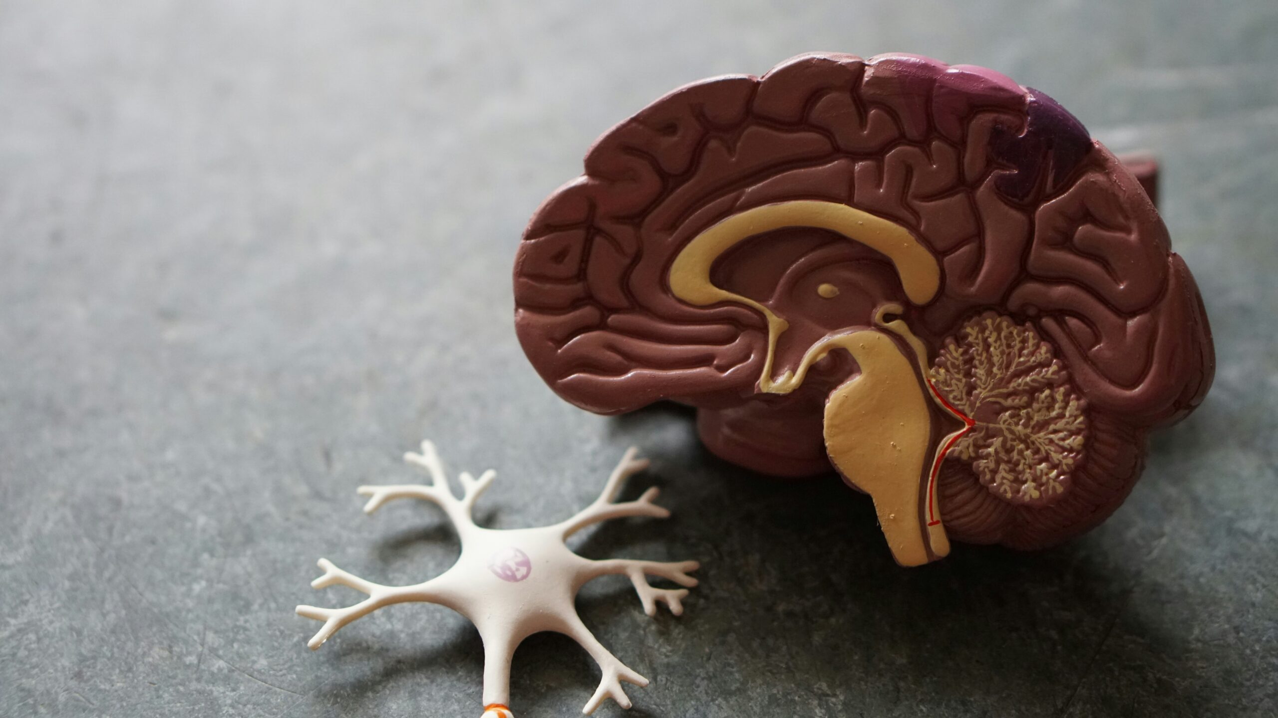 Cuidado de la memoria y cerebro saludable