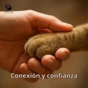 El Vínculo Inquebrantable: La Psicología detrás de Nuestra Relación con los Animales